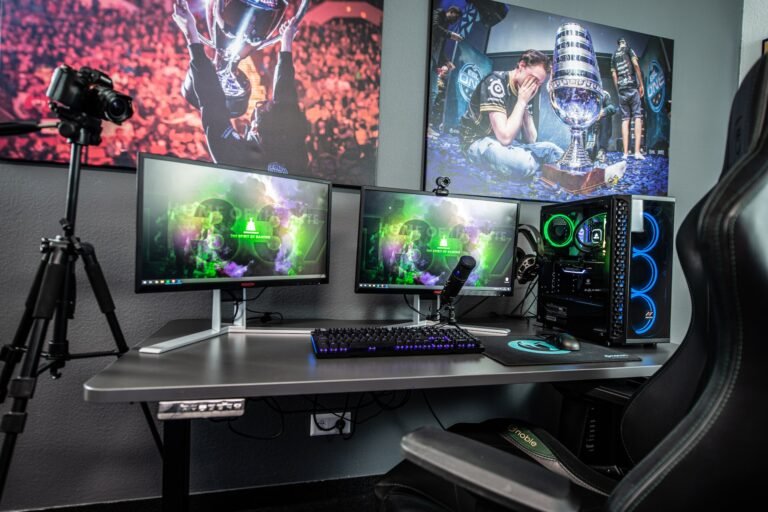 A Comparison of the Economic Value of PC and Console Gaming