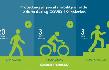 Understanding Age-Related Changes Through Longevity Cycles